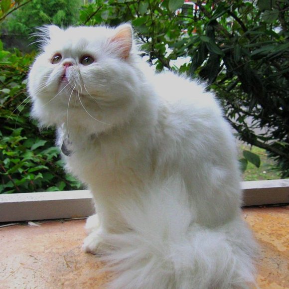 Meet your Posher, Kimberly Cherrybomb 13 - Picture 16 of 16